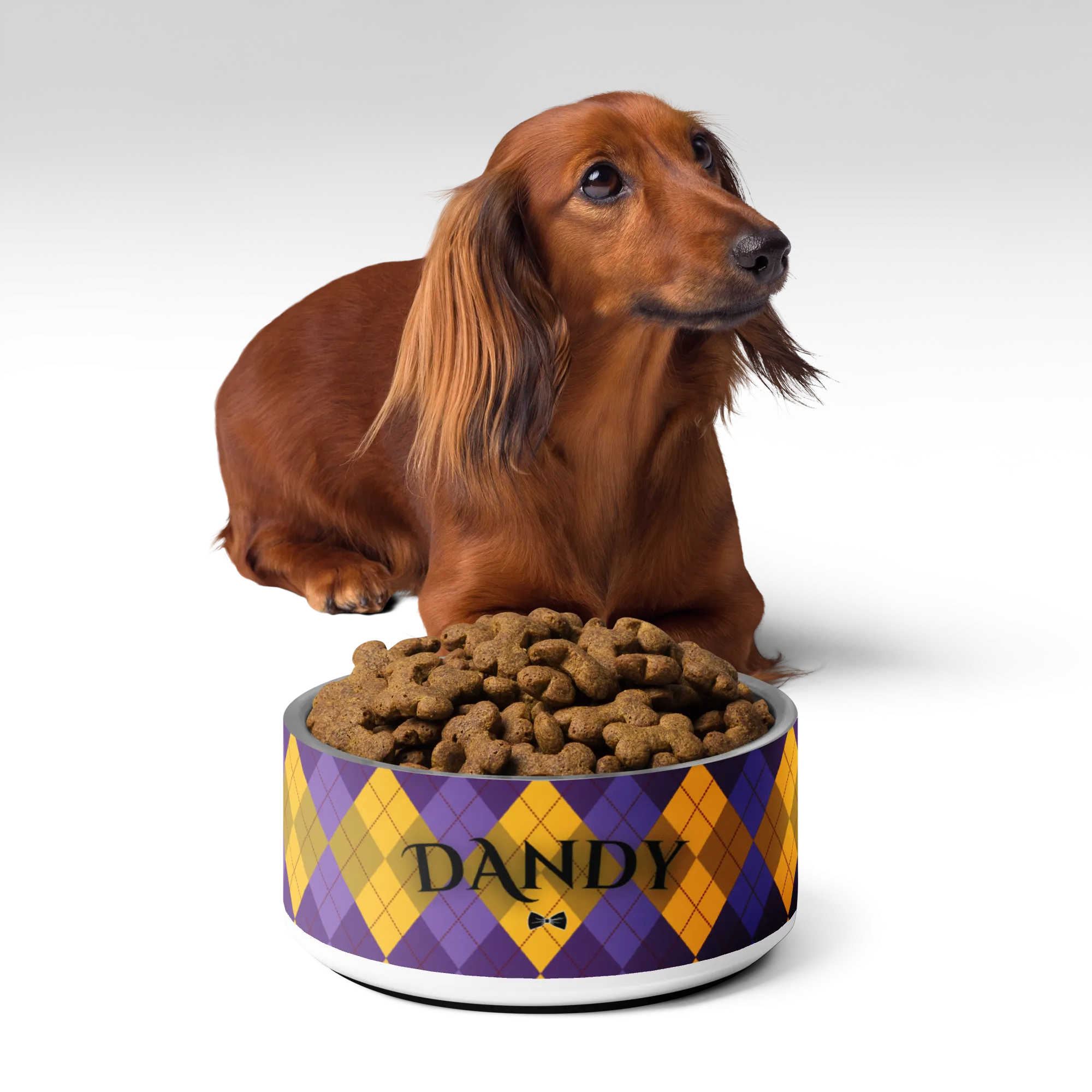 Agent Argyle Pet bowl
